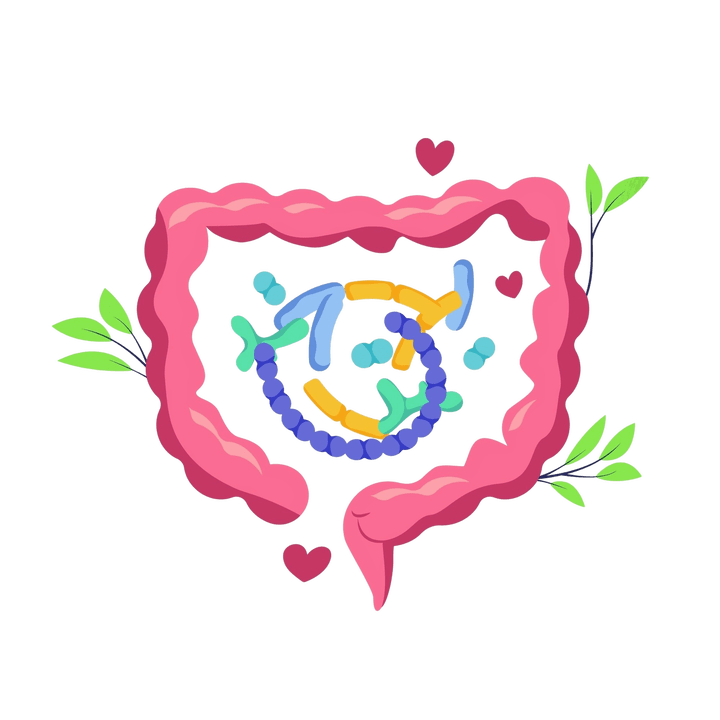 Υγιεινή πέψη και χωρίς παράσιτα